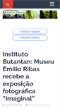 Mobile Screenshot of institutobutanta.com.br